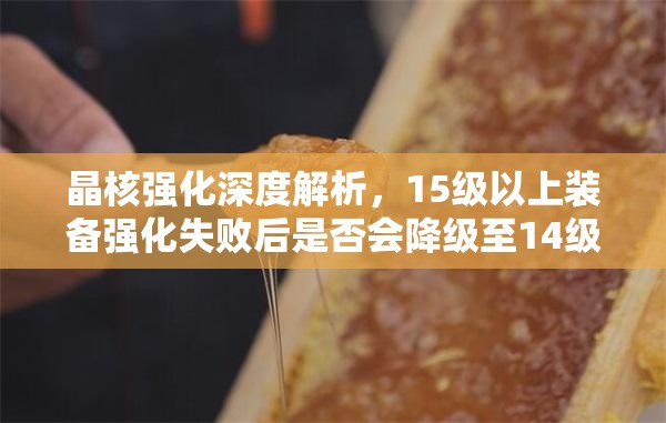 晶核強化深度解析，15級以上裝備強化失敗后是否會降級至14級真相揭秘