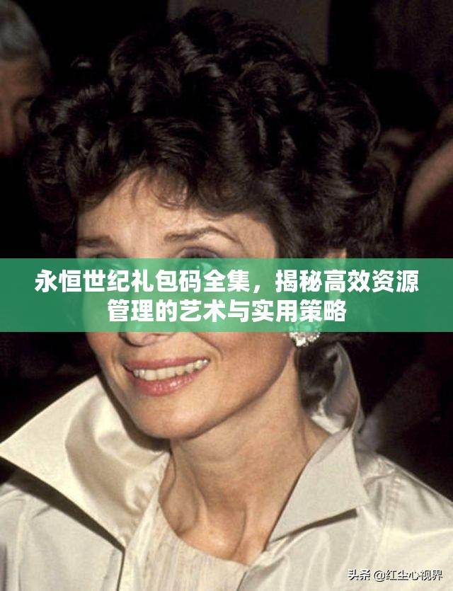 永恒世紀(jì)禮包碼全集，揭秘高效資源管理的藝術(shù)與實(shí)用策略