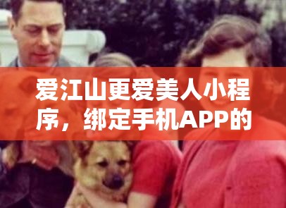 愛江山更愛美人小程序，綁定手機(jī)APP的重要性解析與高效管理策略實(shí)施