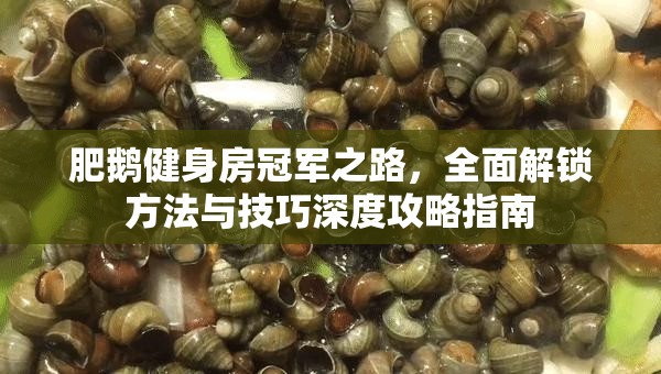肥鵝健身房冠軍之路，全面解鎖方法與技巧深度攻略指南