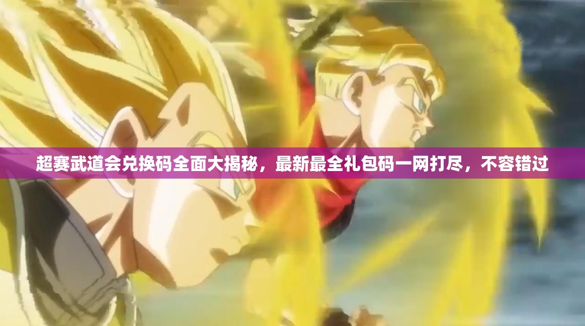 超賽武道會兌換碼全面大揭秘，最新最全禮包碼一網(wǎng)打盡，不容錯(cuò)過