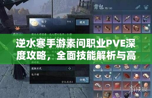 逆水寒手游素問職業(yè)PVE深度攻略，全面技能解析與高效連招秘籍