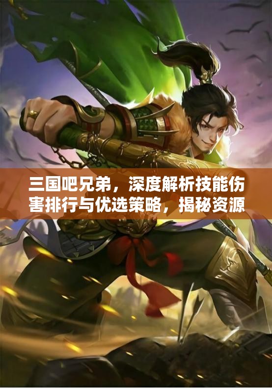 三國吧兄弟，深度解析技能傷害排行與優(yōu)選策略，揭秘資源管理的高效藝術