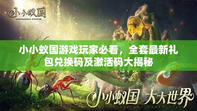小小蟻國游戲玩家必看，全套最新禮包兌換碼及激活碼大揭秘