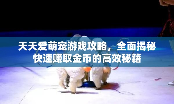 天天愛萌寵游戲攻略，全面揭秘快速賺取金幣的高效秘籍