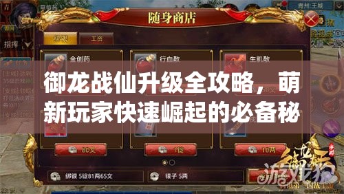 御龍戰(zhàn)仙升級(jí)全攻略，萌新玩家快速崛起的必備秘籍與技巧