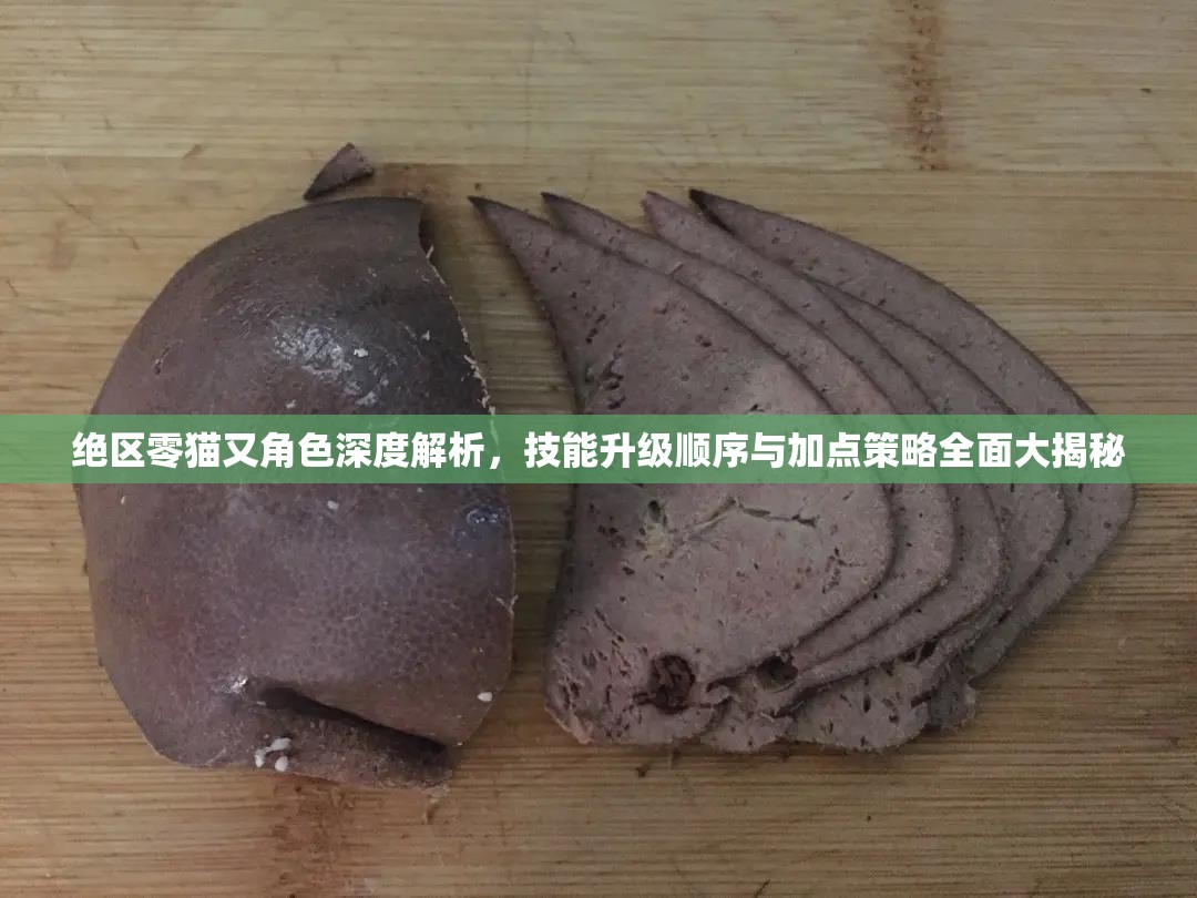 絕區(qū)零貓又角色深度解析，技能升級(jí)順序與加點(diǎn)策略全面大揭秘