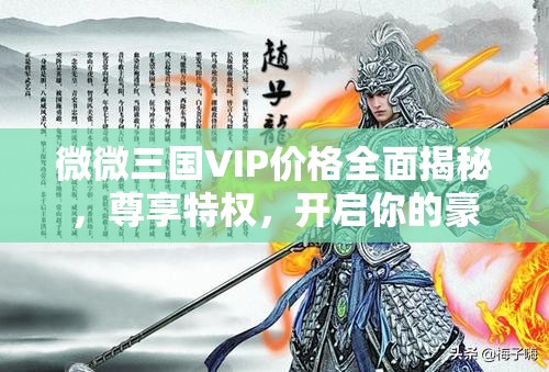 微微三國(guó)VIP價(jià)格全面揭秘，尊享特權(quán)，開(kāi)啟你的豪華三國(guó)游戲之旅