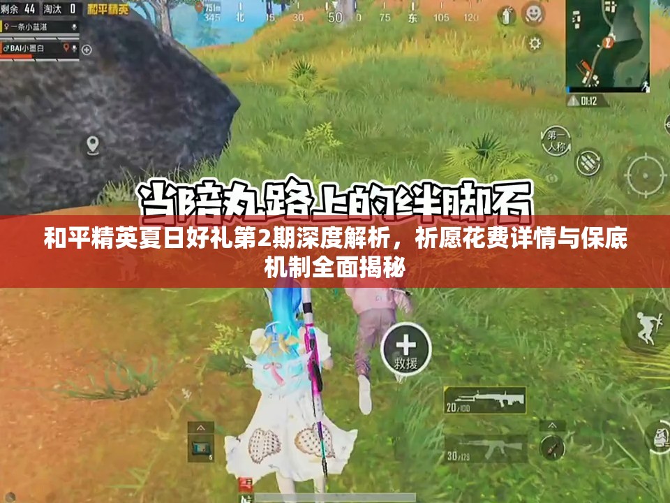 和平精英夏日好禮第2期深度解析，祈愿花費(fèi)詳情與保底機(jī)制全面揭秘