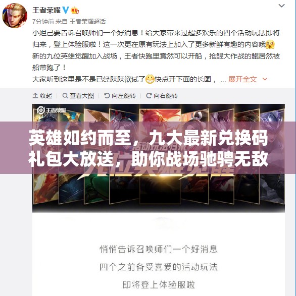 英雄如約而至，九大最新兌換碼禮包大放送，助你戰(zhàn)場馳騁無敵手！