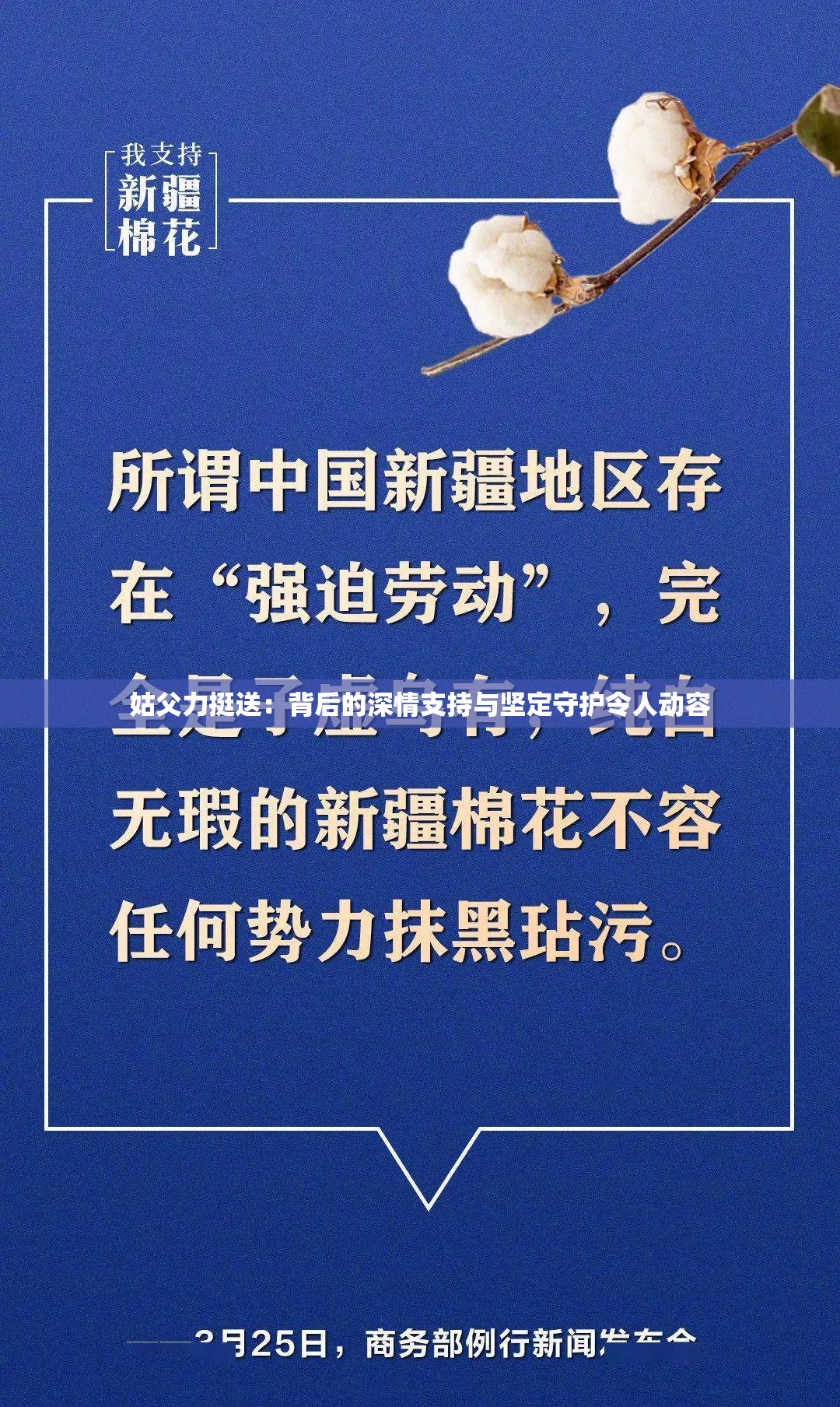 姑父力挺送：背后的深情支持與堅(jiān)定守護(hù)令人動(dòng)容