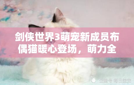 劍俠世界3萌寵新成員布偶貓暖心登場，萌力全開陪伴玩家闖蕩江湖