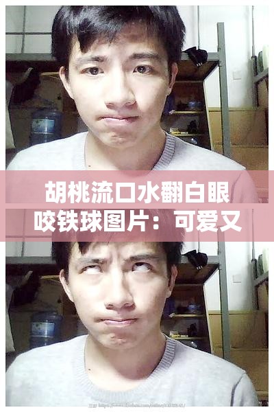胡桃流口水翻白眼咬鐵球圖片：可愛(ài)又搞怪的獨(dú)特瞬間