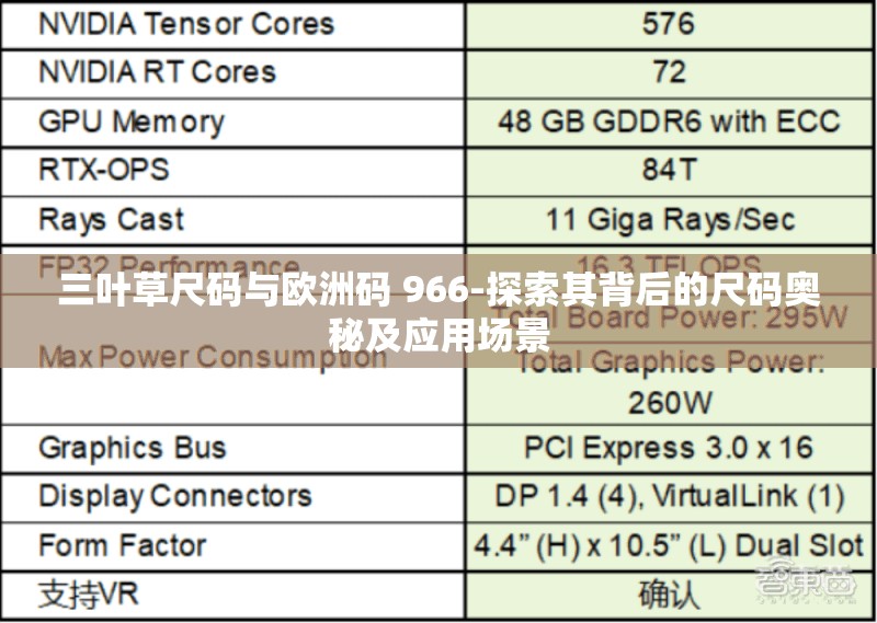 三葉草尺碼與歐洲碼 966-探索其背后的尺碼奧秘及應(yīng)用場(chǎng)景