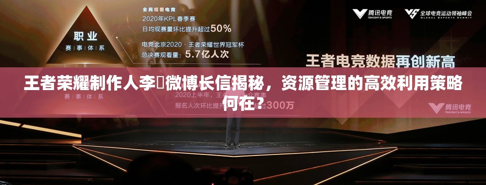王者榮耀制作人李旻微博長(zhǎng)信揭秘，資源管理的高效利用策略何在？