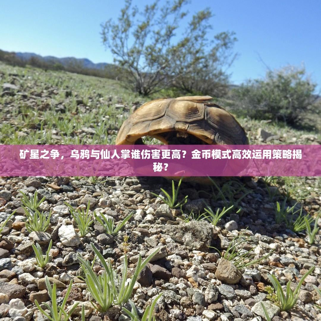 礦星之爭，烏鴉與仙人掌誰傷害更高？金幣模式高效運用策略揭秘？