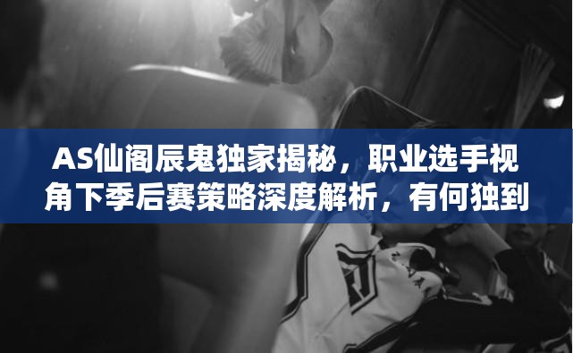 AS仙閣辰鬼獨(dú)家揭秘，職業(yè)選手視角下季后賽策略深度解析，有何獨(dú)到見(jiàn)解？