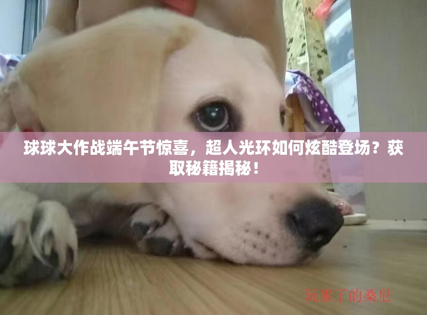 球球大作戰(zhàn)端午節(jié)驚喜，超人光環(huán)如何炫酷登場(chǎng)？獲取秘籍揭秘！