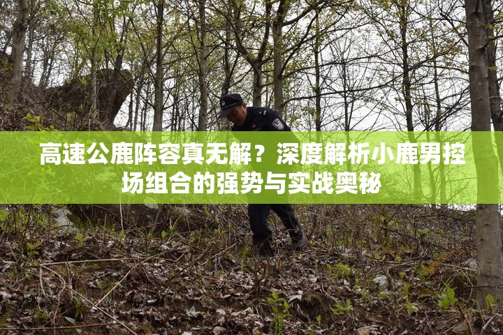 高速公鹿陣容真無解？深度解析小鹿男控場組合的強勢與實戰(zhàn)奧秘