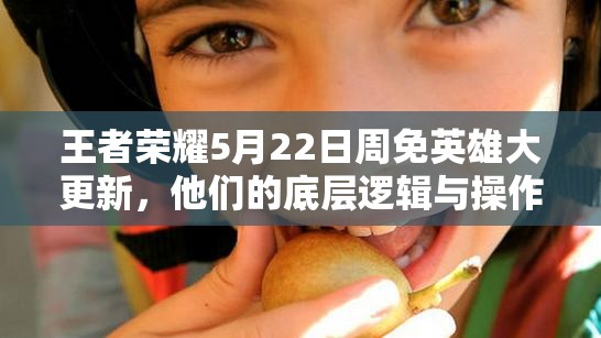王者榮耀5月22日周免英雄大更新，他們的底層邏輯與操作有何深度變化？