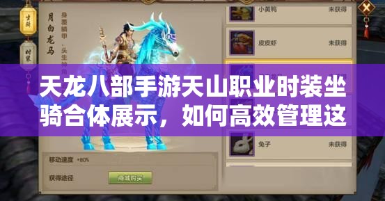 天龍八部手游天山職業(yè)時(shí)裝坐騎合體展示，如何高效管理這些炫酷資源？