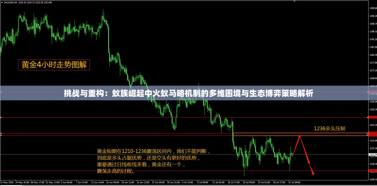 挑戰(zhàn)與重構：蟻族崛起中火蟻馬略機制的多維困境與生態(tài)博弈策略解析