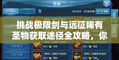挑戰(zhàn)極限劍與遠征稀有圣物獲取途徑全攻略，你掌握了嗎？