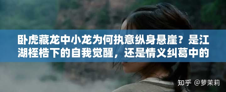 臥虎藏龍中小龍為何執(zhí)意縱身懸崖？是江湖桎梏下的自我覺醒，還是情義糾葛中的終極抉擇？