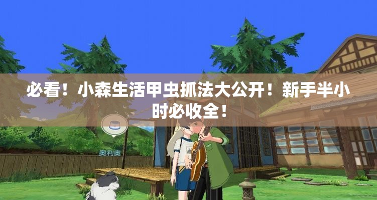 必看！小森生活甲蟲抓法大公開！新手半小時(shí)必收全！