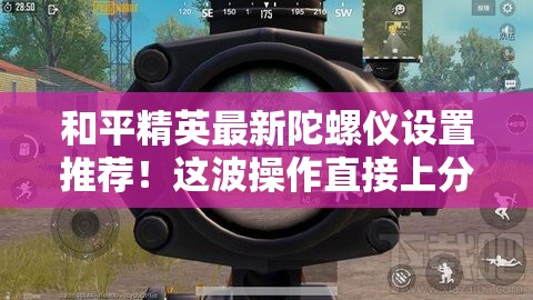 和平精英最新陀螺儀設(shè)置推薦！這波操作直接上分如喝水