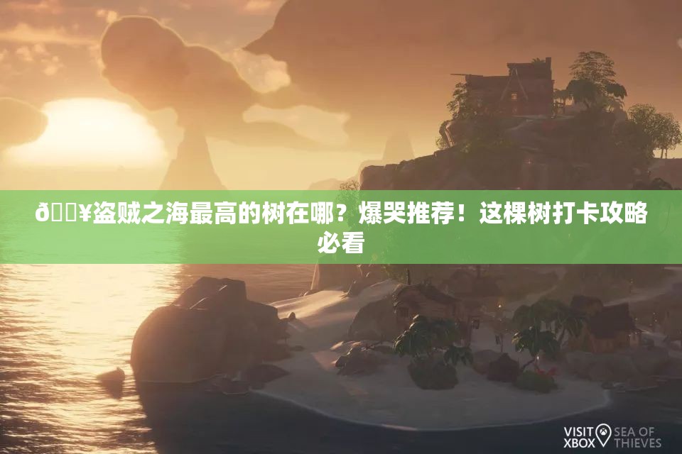 ??盜賊之海最高的樹在哪？爆哭推薦！這棵樹打卡攻略必看