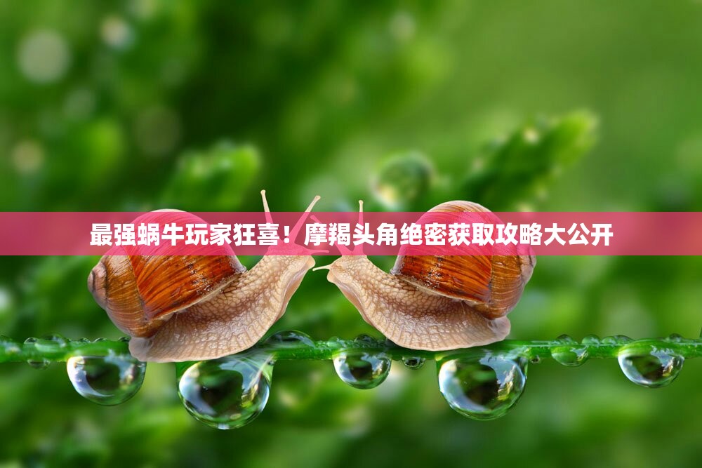 最強蝸牛玩家狂喜！摩羯頭角絕密獲取攻略大公開
