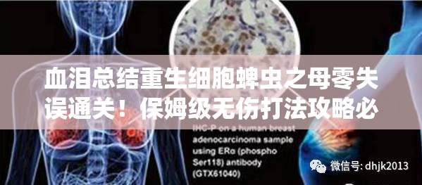 血淚總結重生細胞蜱蟲之母零失誤通關！保姆級無傷打法攻略必存